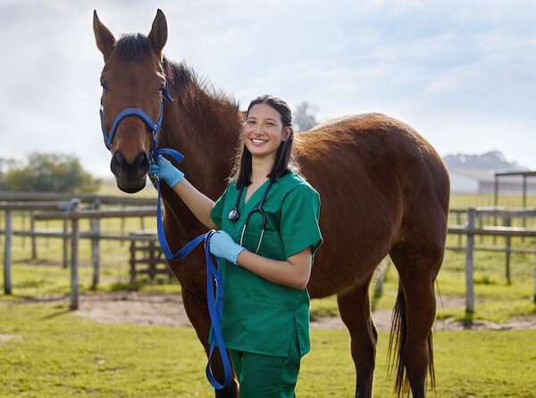 Día Mundial del Veterinario: más allá de las mascotas, el rol invisible de los veterinarios - Mascotas - ABC Color