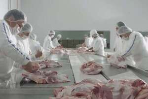 Senacsa anuncia nueva conquista para la carne porcina y se alista para recibir auditoría de Filipinas - Economía - ABC Color