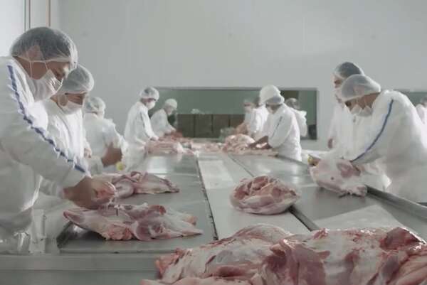 Senacsa anuncia nueva conquista para la carne porcina y se alista para recibir auditoría de Filipinas - Economía - ABC Color