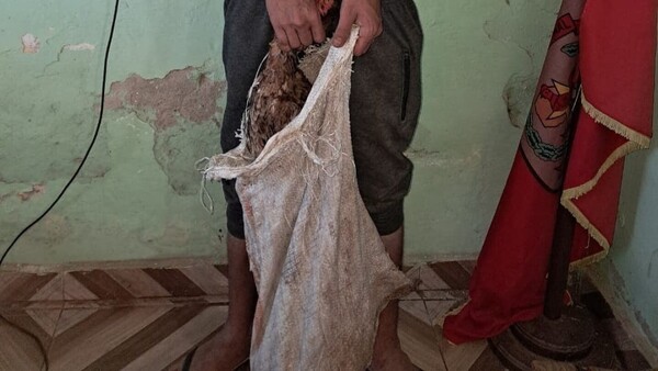 ¡Robó una docena de GALLINAS!