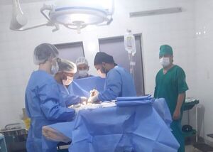 Cirugías itinerantes en Itapúa benefician a más pacientes - .::Agencia IP::.