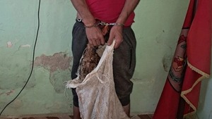 Supuesto ladrón de gallinas detenido en Concepción - 1000 Noticias