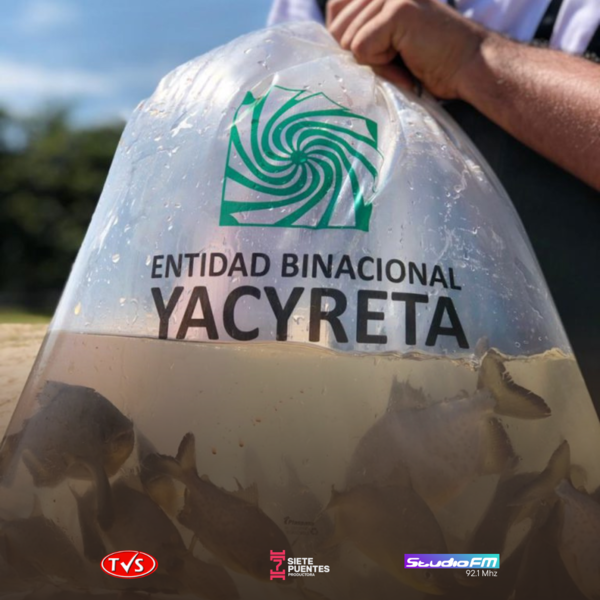 Entrega de Alevines para Fomentar la Piscicultura en Itapúa - TVS