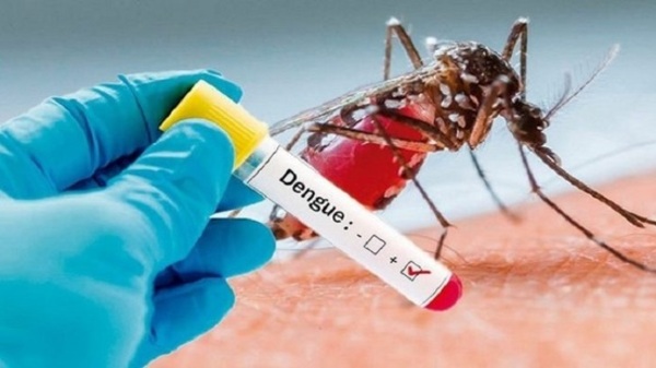 Dengue: Salud reporta aumento de casos y pide intensificar eliminación de criaderos - ADN Digital