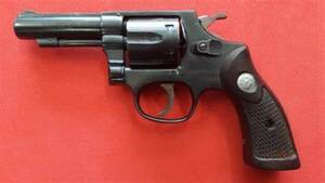 Detienen al dueño del arma que mató a una niña