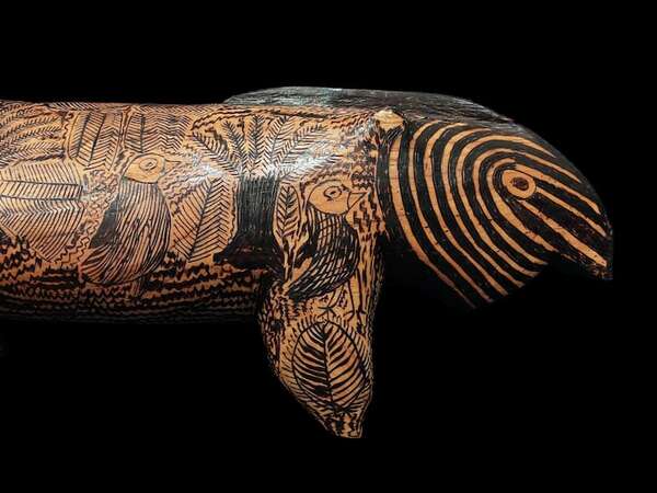 Día Internacional del Tapir: invitan a exposición en homenaje al mborevi - Ciencia - ABC Color