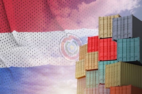 De la soja a la energía: el efecto de los precios internacionales en las exportaciones de Paraguay - MarketData