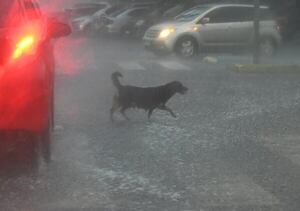 Meteorología renueva alerta por lluvias intensas y anuncia ingreso de frente frío  - Clima - ABC Color
