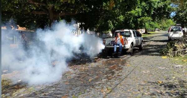 La Nación / Salud afirma que casos de dengue se incrementaron en última quincena