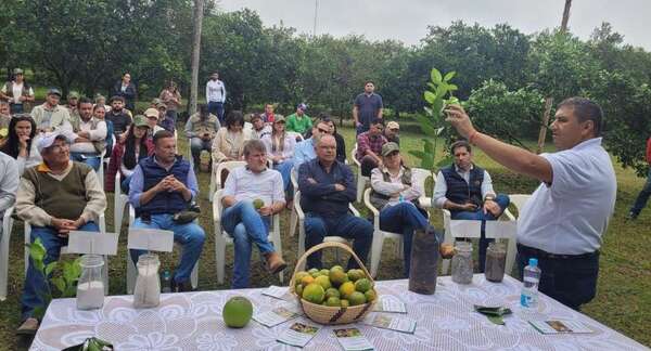 Técnicos y productores se capacitaron sobre manejo agronómico y fitosanitario de cultivos de cítricos