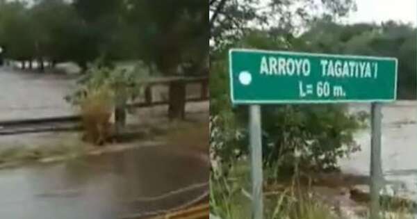 La Nación / Desborde del arroyo Tagatiya pone en riesgo estructura del puente y caminos