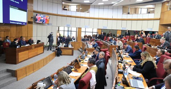 La Nación / Mafia de los pagarés: Senado designa a sus investigadores