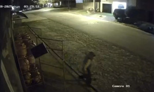 Delincuentes roban conocida casa de venta de gas en Coronel Oviedo - OviedoPress