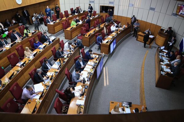 Senado conforma comisión especial para investigar la mafia de pagarés - El Trueno