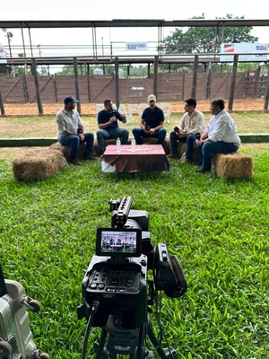 La Mesa Braford | Zafra de toros, temporada de terneros, mercado ganadero y escenario climático
