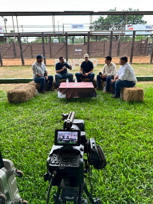 La Mesa Braford | Zafra de toros, temporada de terneros, mercado ganadero y escenario climático