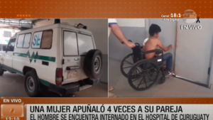 Una mujer apuñaló cuatro veces a su pareja