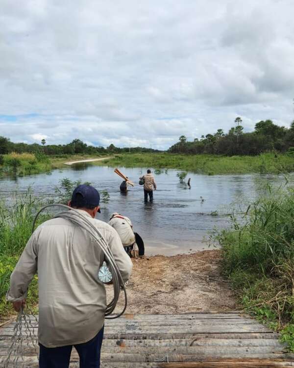 ANDE: rayo y cuervo, causas del apagón en Alto Paraguay - Economía - ABC Color
