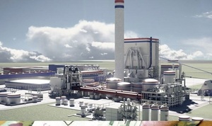 Paracel pasa a una nueva fase de producción y reestructura su plantel de colaboradores | Locales | 5Días
