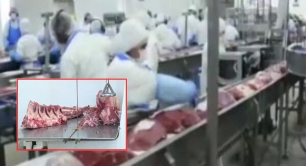 Suba de la carne se sentirá el 1 de mayo - SNT