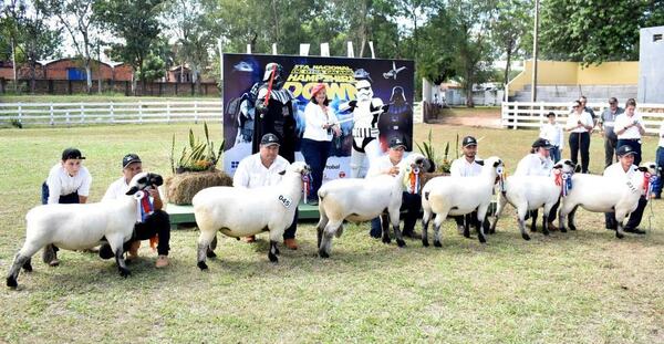La Nacional Hampshire Down eligió a los mejores ejemplares puros de pedigree