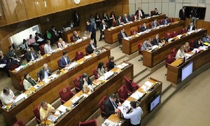 Diputados trataría hoy la polémica ley de datos personales - OviedoPress