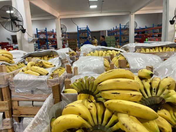 Hambre Cero: ruedas de negocios para mipymes y productores llegan a Caaguazú y Canindeyú - .::Agencia IP::.