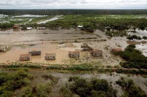 Inundaciones en el Chaco presionan al alza el precio de la carne
