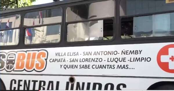 Diario HOY | “Oso Bus”: Jatar ofrece transporte nocturno gratuito a hospitales