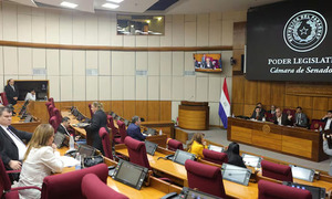 Senado crea una comisión especial que busca frenar embargos injustos de la mafia de los pagarés - OviedoPress
