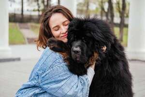 Perros peludos XXL: las razas gigantes con más pelo (y más amor) - Mascotas - ABC Color