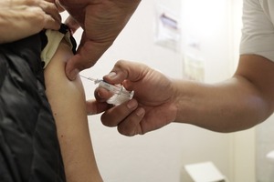 Vacunas antirrábicas llegarán la próxima semana a la región para reforzar la prevención