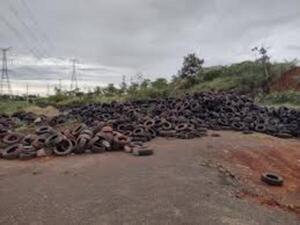 Empresario brasileño condenado por violar normas ambientales en Hernandarias - PDS RADIO Y TV