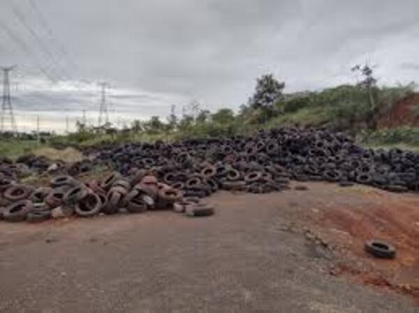 Empresario brasileño condenado por violar normas ambientales en Hernandarias - PDS RADIO Y TV
