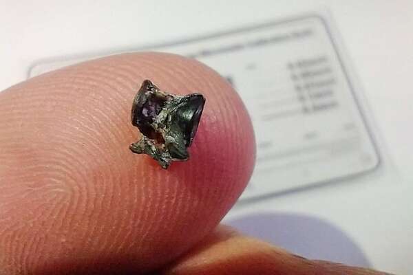 Argentina: descubren vértebra fosilizada de un pez de hace 200.000 años  - Ciencia - ABC Color
