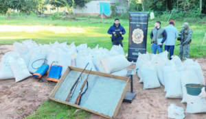 Detienen a “Nenecho” con más de una tonelada de marihuana en Yby Pytá