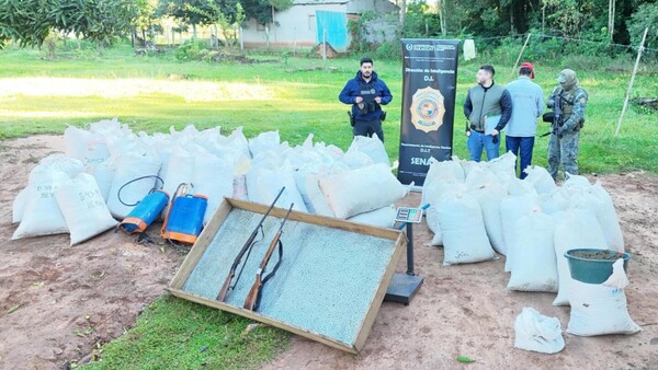 “Nenecho” cae con 1.008 kilos de marihuana y armas de fuego en Yby Pytá