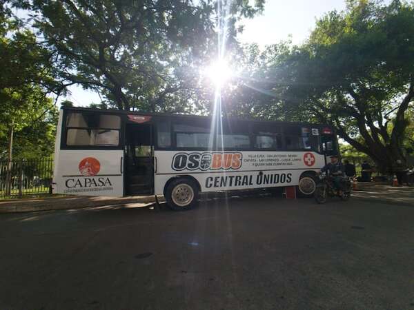 ¿Deficitaria Capasa auspicia el “Oso Bus chatarra” de diputado?: “Es insostenible la burla” - Economía - ABC Color