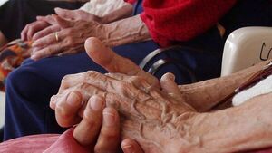Casi 64% de adultos mayores no cuentan con seguro médico