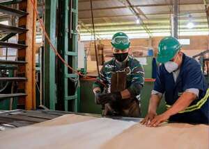 Cepal también rebaja proyección del PIB para Paraguay - Economía - ABC Color