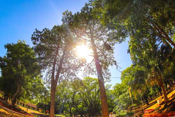 Miércoles con ambiente fresco a cálido y sin lluvias a nivel nacional