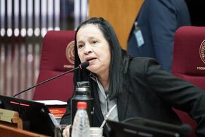 Aplanadora cartista vuelve a cajonear proyecto que pretendía evitar que los últimos gastos sociales de Itaipú se usen como “caja chica” - Política - ABC Color