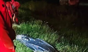 Un paraguayo muere atropellado en Ponta Porã – Prensa 5