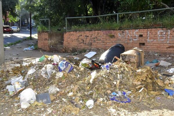 Exigen a Nenecho que intervenga el Parque Carlos Antonio López - Nacionales - ABC Color