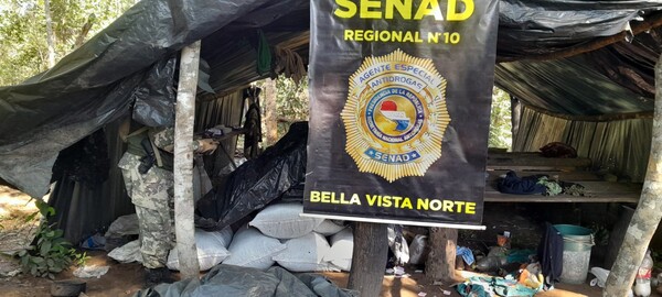 Eliminan más de 80 toneladas de marihuana de Reserva de Mbaracayú - trece