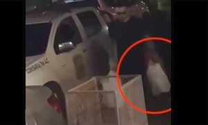Investigan caso de uso de patrullera policial para ir de compras – Prensa 5