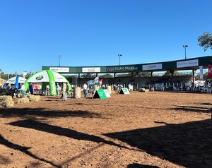 Expo Neuland | Nacional Brahman, negocio ganadero y perspectivas de precio