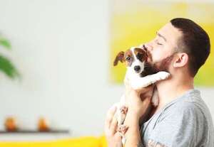 ¿Cómo cuidar a un cachorro recién adoptado? Guía básica para nuevos dueños - Mascotas - ABC Color