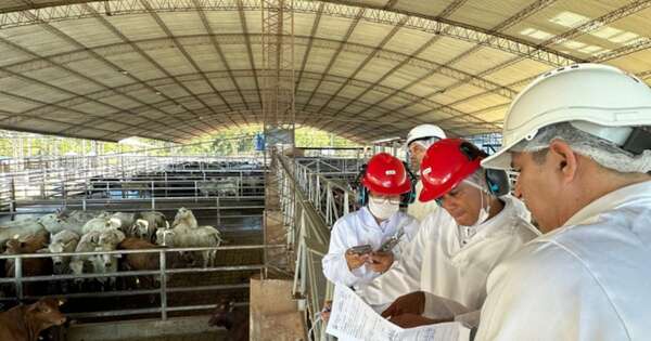 La Nación / Avanzan inspecciones a frigoríficos para habilitar exportación de carne a Filipinas