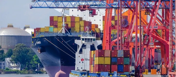 Argentina elimina impuestos a exportaciones industriales - ADN Digital